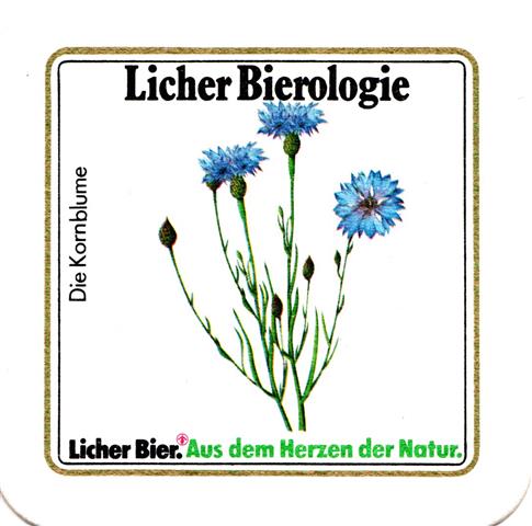 lich gi-he licher biero blu fass 2b (quad185-die kornblume)